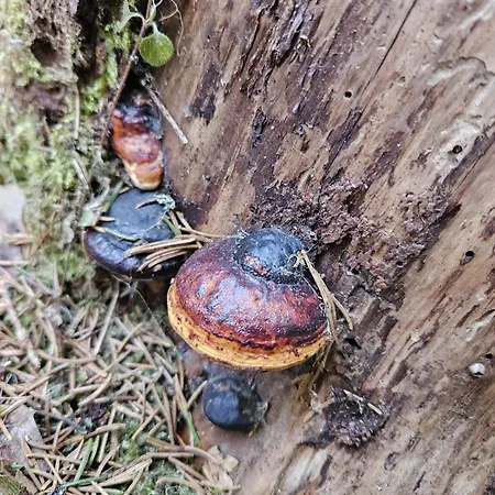 Stylish Floor Ap, With Private Parking, Next To A Tram Stop * Tampere