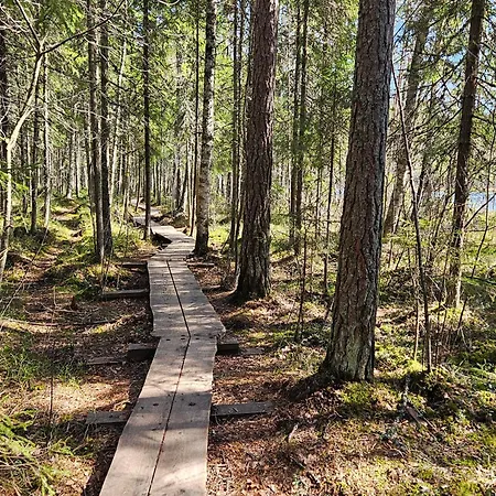 Stylish Floor Ap, With Private Parking, Next To A Tram Stop * Tampere